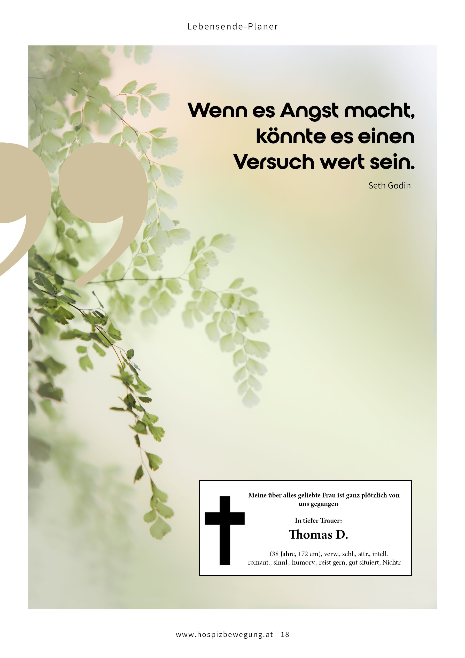 Lebensendeplaner Beispielseite